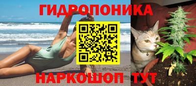 мдма Шелехов