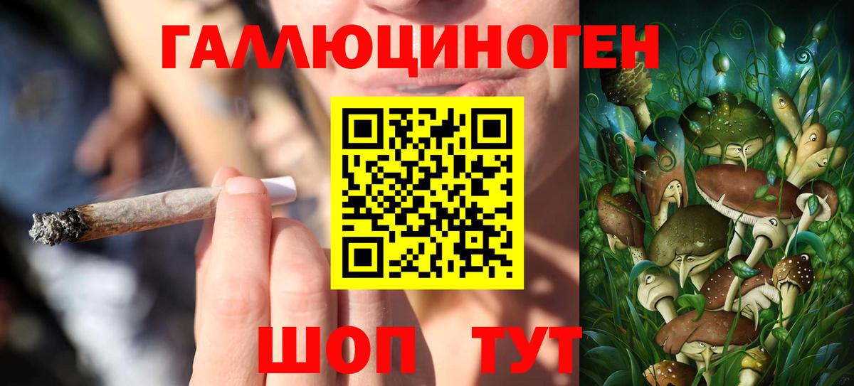 Псилоцибиновые грибы мухоморы Аша